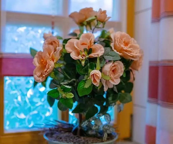 Simmeth * Furstenstein